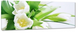 tulipan, biay, kwiaty, licie, pikno, natura, uroda, styl, z bliska, makro, otwarty, rozkwitajcy, bukiet
