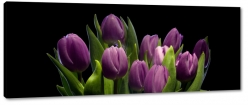 fioletowe tulipany, bukiet, kompozycja, czarne to, patki, licie, fiolet, ogrd, wiosna, lato, natura