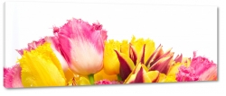 tulipany, bukiet, ty, symbol radoci, szczcie, patki, makro, ciepe kolory, wiosna