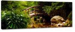 most, przejcie, trawa, las, park, soce, sonecznie, promienie, zdrowie, odpoczynek, relaks