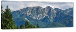 giewont, zakopane, tatry, szczyt, gry, wspinaczka, las, widok, krajobraz