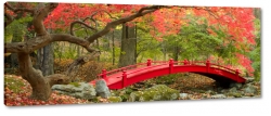 czerwony most, mostek, kadka, drzewo, japonia, azja, czerwone, jesie, lato, las, park, natura, krajobraz, widok, pejza
