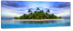 wyspa, tropiki, palmy, morze, ocean, plaa, piasek, wakacje, odpoczynek, krajobraz, widok, pejza, niebieski