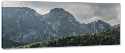 giewont, zakopane, tatry, szczyt, gry, wspinaczka, las, widok, krajobraz