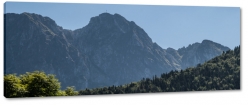 giewont, zakopane, tatry, szczyt, gry, wspinaczka, las, widok, krajobraz