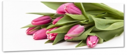tulipany, bukiet, kompozycja