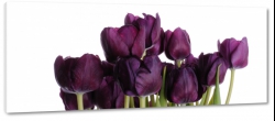 tulipany, fioletowe, bukiet