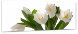 tulipany, biae, bukiet