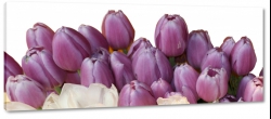 tulipany, fioletowe, bukiet, kompozycja