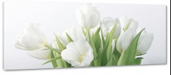 tulipany, biae, bukiet