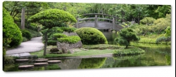ogrd, japoski, most, krzewy, woda