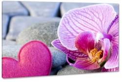 orchidea, serce, kamienie, wellness, spokj, relaks, wyciszenie, kwiaty, natura