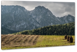 giewont, zakopane, tatry, szczyt, gry, wspinaczka, las, widok, krajobraz, pole, wie, uprawa