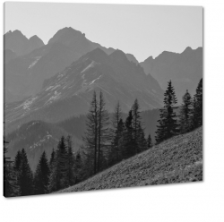 gry, tatry, zakopane, b&w, czarny, szczyt, sosny, wierki, stok