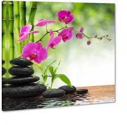 kamienie, storczyk, spa, bambus, wellness, otoczaki,woda, orchidea