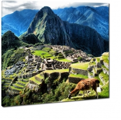 machu picchu, peru, inkowie, historia, lama, gry, ruiny, misto 