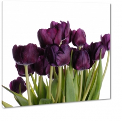 niezwyke tulipany, kwiaty, czarny, bukiet, biae to, dla niej, prezent
