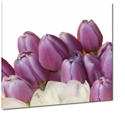 tulipany, fioletowe, bukiet, purpurowe, biae to, pastelowe