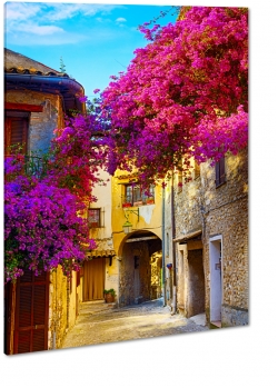 brama, domy, klimat, ciasne uliczki, mury, europa poudniowa, klimat, wakacje, fioletowe kwiaty, 