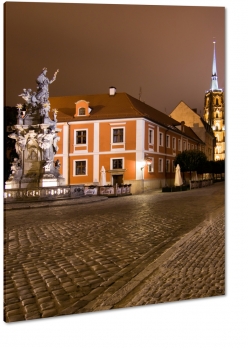 wrocaw, rynek, katedra, rzeba, statua, noc, wiata