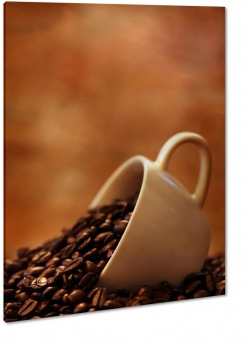 ziarna kawy, filianka, biaa, espresso, poranek, zapach, aromat, kawiarnia, makro, brzowy
