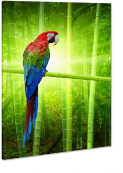 papuga, ara, kolorowy, zielony, dzib, tropiki, skrzyda, pira, blask soca, bambus