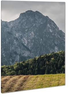 tatry, bieszczady, pole, uprawa, las, park, pejza, krajobraz, widok, szczyt