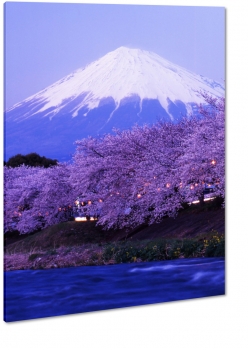 fuji, japonia, wulkan, gra, fiolet, kwiaty wini, nieg, zima, krajobraz, pejza, widok, zachd