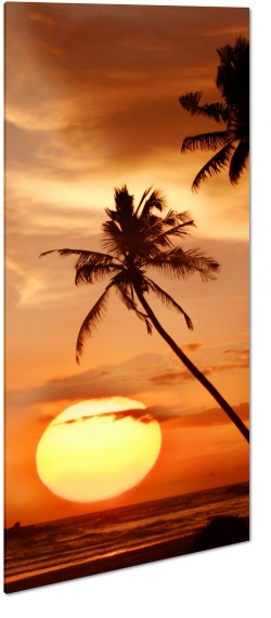palma, tropiki, wakacje, morze, plaa, piasek, wakacje, podr, krajobraz, widok, tropiki, tropikalny, soce, zachd, ciepe kolory