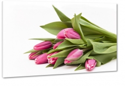 bukiet kwiatw, tulipany, fioletowy, biay, wiosna, ogrd, biae to, pikno, natura