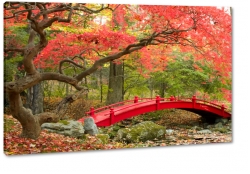 czerwony most, mostek, kadka, drzewo, czerwone, jesie, lato, las, park, natura, krajobraz, widok, pejza, ogrd, zen