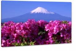 fuji, japonia, gra, kwiat wini, fiolet, nieg, szczyt, krajobraz, widok, pejza