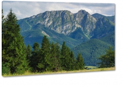 giewont, zakopane, tatry, szczyt, gry, wspinaczka, las, widok, krajobraz