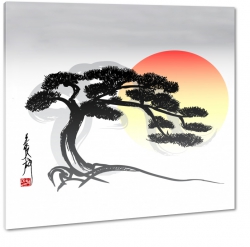 japonia, bonsai, drzewo, kaligrafia, soce