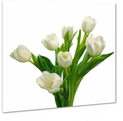bukiet, tulipany, na prezent, biae to, dla babci, dzie kobiet