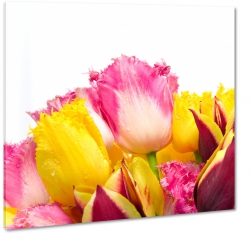 bukiet, tulipany, na prezent, biae to, dla babci, dla ony