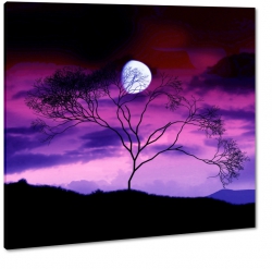 wieczr, samotne drzewo, ksiyc, fiolety