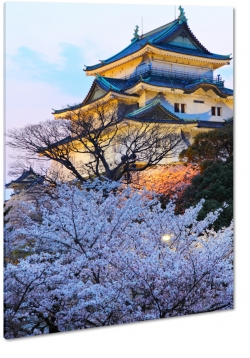 japonia, dom, wakayama, paac, willa, japoska architektura, biae kwiaty, drzewa, widok
