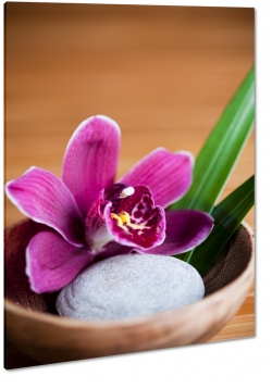 orchidea, fioletowy, kamie, wellness, kompozycja, rwnowaga, relaks, wyciszenie, natura, makro