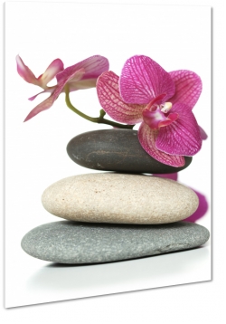 orchidea, kamienie, wellness, rwnowaga, zen, fioletowy, szary, biae to