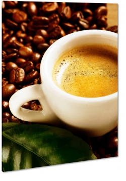 espresso, kawa, ziarna, filianka, kawiarnia, spotkanie, do kuchni, pianka, makro