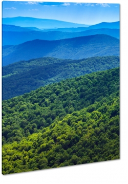 bieszczady, gry, pagrki, krajobraz, widok, pejza, las, park, natura, zielony, promienie, pasmo, w oddali