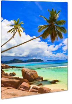 palmy, tropiki, skay, kamienie, wakacje, morze, plaa, piasek, wakacje, podr, krajobraz, widok, tropiki, tropikalny, soce, turkus, bkit