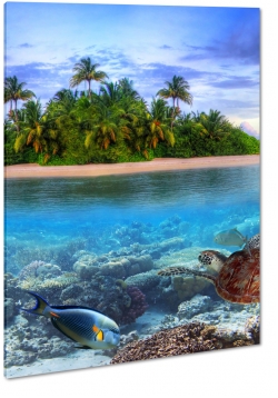wyspa, tropiki, palmy, w, ryby, morze, ocean, rafa koralowa, plaa, piasek, wakacje, odpoczynek, krajobraz, widok, pejza