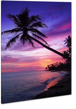 palma, tropiki, wakacje, morze, plaa, piasek, wakacje, podr, krajobraz, widok, tropiki, tropikalny, soce, zachd, ciepe kolory