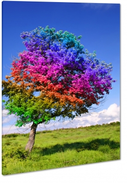 drzewo, tczowe, kolorowe, abstrakcja, wie, pole, ka, soce, cie, niebieskie niebo