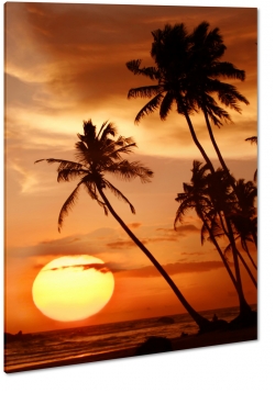 hawaje, palmy, zachd soca, ognisty, pomaraczowy, wyspa, tropiki, wakacje