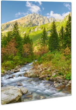 tatry, bieszczady, gry, pagrki, krajobraz, szlak, choinki, las, wspinaczka, szczyt, widok, pejza, natura, zielony, rzeka, rdo