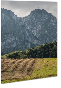 giewont, zakopane, dolina, pasmo, tatry, szczyt, gry, wspinaczka, las, widok, krajobraz, pole, wie, uprawa