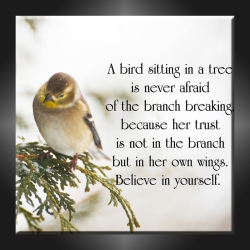 ptak, motto, z�ote my�li, zaufanie, zima, z�ote my�li